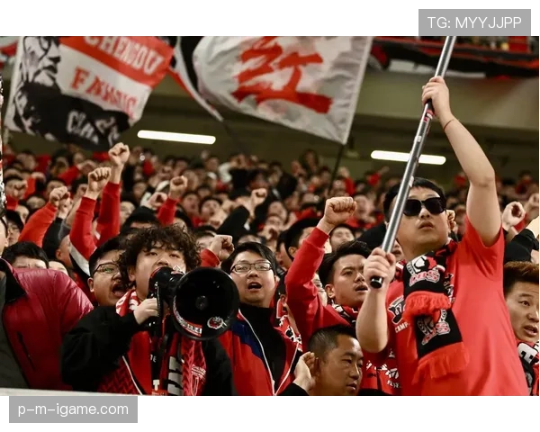 中超复兴之路：新策略推动联赛表现稳步回升